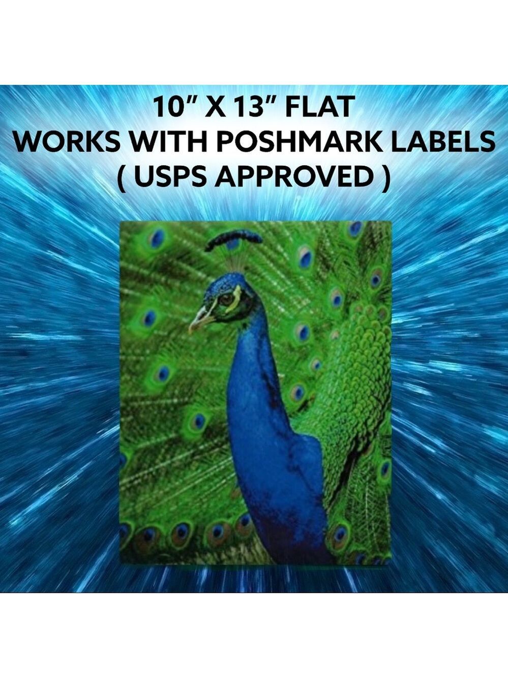 25 10X13 Poly Mailers Royal Peacock PRICE IS FIRM - Picture 12 of 13